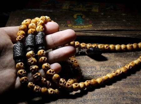 skull-ox_mala