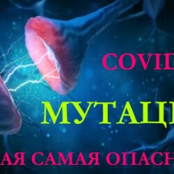 Мутация коронавируса