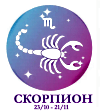 Скорпион солнечный знак