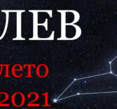 Лев гороскоп 2021 лето