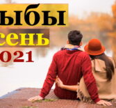 Рыбы гороскоп на сентябрь, октябрь, ноябрь и декабрь 2021