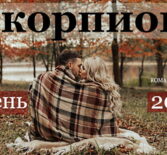 Скорпион гороскоп на сентябрь, октябрь, ноябрь и декабрь 2021