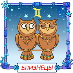 Ребёнок Близнецы