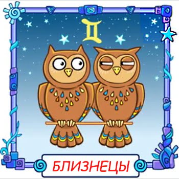 ребёнок Близнецы